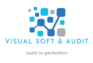 Visual Soft&Audit